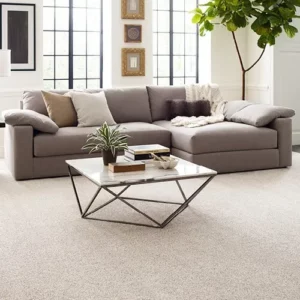 FindYourComfortAccent-EA822-00193-NewPerspective-LIVINGROOM-H-ALT_500x500 Carpet flooring | The Carpet Factory Super Store