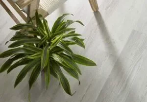 imgi_7_Basilica_400x400-1